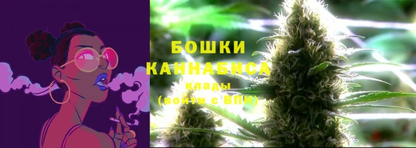спиды Богданович