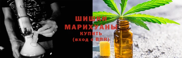 спиды Богданович