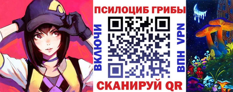 Псилоцибиновые грибы прущие грибы  Кола 